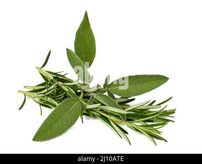 Sage and rosemary isolated on white background Stock Photo