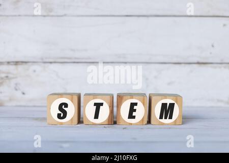 stem concept written on wooden cubes or blocks, on white wooden background. Stock Photo