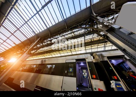 Open doors of a high-speed train car. Stock Photo