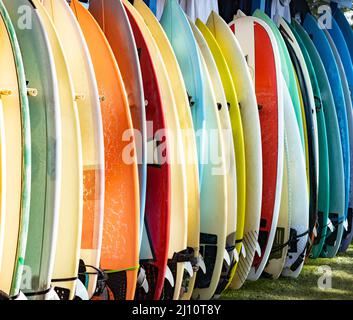 Multicolored surfboards standing on a board rack Stock Photo