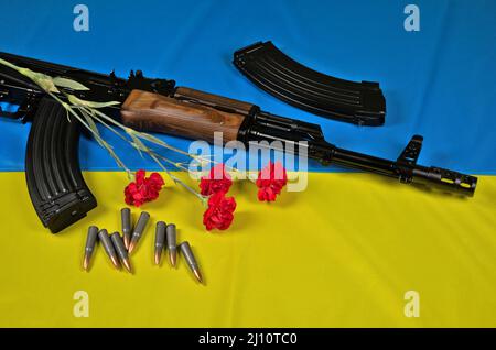 Ak-47 rifle, magazines, ammunition and red carnation flower lying on a blue-yellow Ukrainian flag
