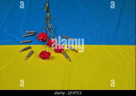 Red flower (surrounded by 7,62x39mm ammunition for Kalashnikov rifle) lying on a Ukrainian flag Stock Photo