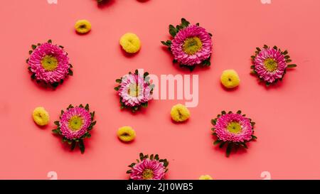 Overhead Shot of Pink and Yellow Flowers on a Pink Backdrop Stock Photo