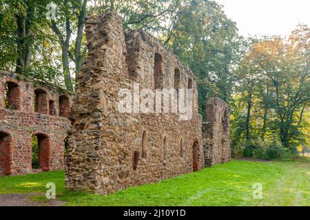 The ruins of the monastery church in Nimbschen, a former Cistercian abbey near Grimma in the Saxon district of Leipzig on the Mulde River in Germany. Stock Photo