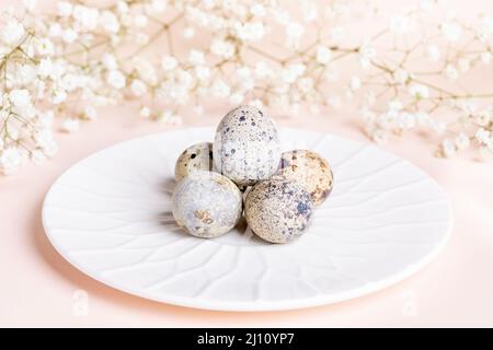 White plate with Easter quail eggs and gypsophila flowers on pastel pink backdrop. Holiday decorations. Spring greeting card. Festive table setting fr Stock Photo