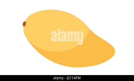 Yellow mango on white background. Vector illustration of a ripe, tropical fruit. Modern vector illustration. Stock Vector
