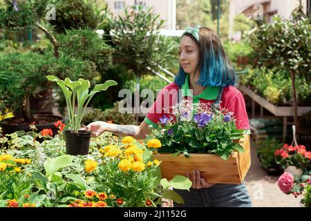 Florist working and arranging flower pots in garden store Stock Photo
