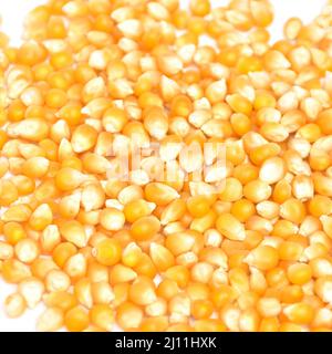 Background of yellow maize corn kernels ready for making pop corn Stock Photo