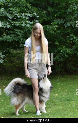 Portrait of a woman and a Finnish Lapphund dog training tricks outdoors in backyard Stock Photo