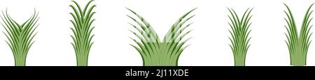 Set of green yucca plants in a abstract design - Vector Illustration Stock Vector