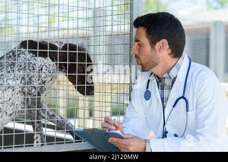 vet with dog in a local shelter Stock Photo