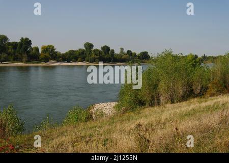 Course of river bed of the Rhine north of Düsseldorf through a green over-grown landscape, in sections with narrow sandy beaches, the water ripples wi Stock Photo