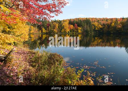 Autumn colors reflecting on the lake in Quebec, Canada Stock Photo