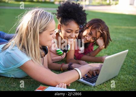 Helping each other through a difficult assignment. Three young students lying on the grass in a park and using a laptop. Stock Photo