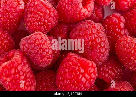 Fresh red ripe raspberries close-up. Raspberries background. Stock Photo
