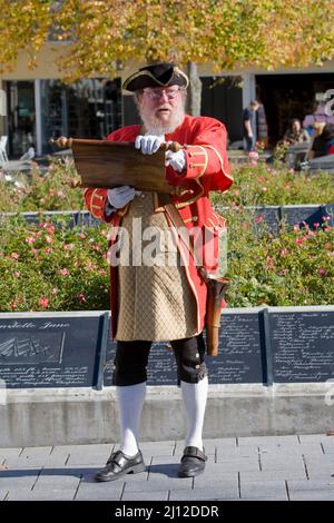 Stephen Symons, the City of Christchurch Towncrier reads the daily proclamation in Cathedral Square. Stock Photo