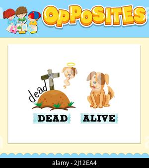 Opposite words for dead and alive illustration Stock Vector