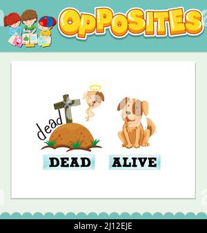 Opposite words for dead and alive  illustration Stock Vector