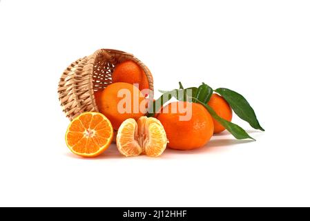 Tangerines, clementines or mandarin orange fruit with green leaves, peeled segments and half-cut citrus fruit lying in front isolated on white backgro Stock Photo