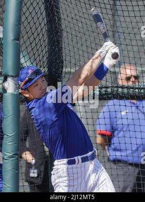Newly acquired Chicago Cubs outfielder Seiya Suzuki takes live batting  practice during a spring training baseball