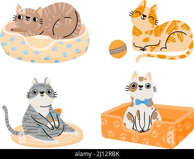 Cartoon cats. Furry colorful animals sitting and lying in bed, playing with ball and fish toy. Domestic characters Stock Vector