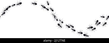 Colony ants. Seamless pattern insects ant on white. Workers ants marching, teamwork. Insects in flat style. Design for social media, blog post, print, Stock Vector