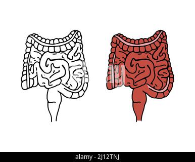 Intestines doodle vector illustration. Digestive system cartoon icons isolated on white background. Human internal organ in hand drawn style Stock Vector