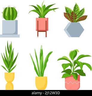 Pot plants. Different houseplants with green leaves, succulents and cactus. Scandinavian decorative elements for home interior Stock Vector