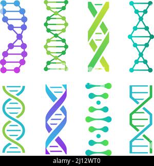 Colorful DNA icons. Spiral molecule structure for scientific research. Human genetic code with information Stock Vector