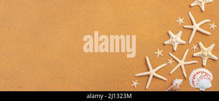 Starfish and seashells on the sand. The concept of vacation, travel. Top view, panorama. Stock Photo