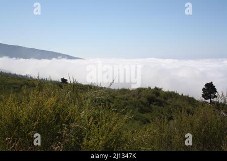 Haze and fog in the Teno mountains of the canary island of Tenerife with a wall of fog in the valley Stock Photo