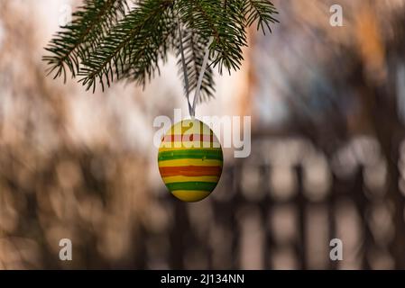 colorful easter egg hanging on a branch of a conifer in a garden in the stubay valley, austria Stock Photo