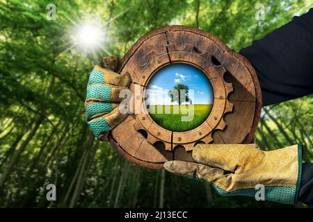 Hands with protective work gloves holding a cross section of a tree trunk with a wooden cogwheel in a green forest. Sustainable resources concept. Stock Photo