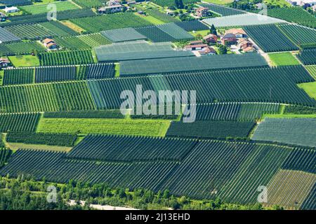 Aerial view of apple orchards with anti-hail netting in summer in Valsugana or Sugana Valley, in the plain between Lake Caldonazzo and Lake Levico.