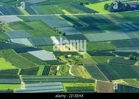 Aerial view of apple orchards with anti-hail netting in summer in Valsugana or Sugana Valley, in the plain between Lake Caldonazzo and Lake Levico,