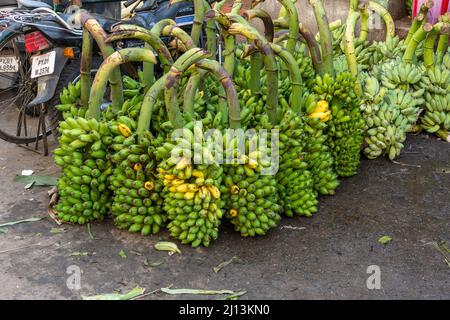 Pondicherry food Market, Pondicherry now known as Puducherry is the capital and the most-populous city of the Union Territory of Puducherry in India. Stock Photo