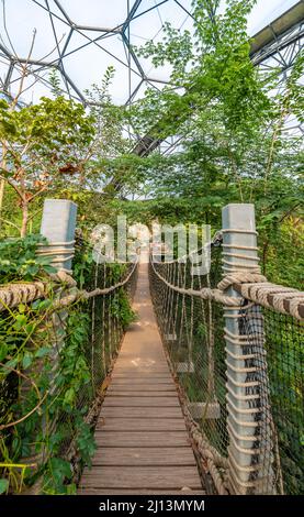 Walkway bridge inside the Eden Project in Cornwall, UK Stock Photo