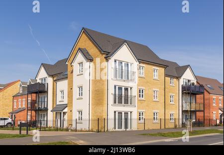 New build apartment block of flats in the Stortford Fields housing development.  Bishop's Stortford. UK Stock Photo