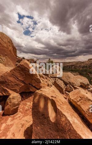 Metates or maize-grinding depressions on a boulder by an ancient 1,000 year old Ancestral Puebloan cliff dwelling in Lower Mule Canyon on Cedar Mesa i Stock Photo