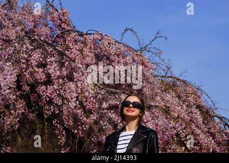A woman next to a cherry blossom tree in St James's Park, London. Picture date: Tuesday March 22, 2022. Stock Photo