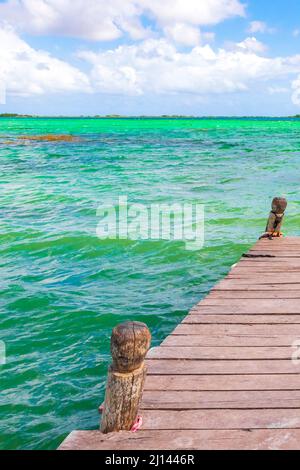 Amazing natural panorama view to the Muyil Lagoon in the tropical jungle nature forest with boats jetty people colorful turquoise water Sian Ka'an Nat Stock Photo