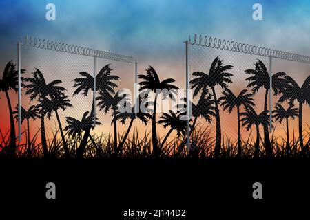 Barbed wire over silhouette of palm trees against sunset sky Stock Photo