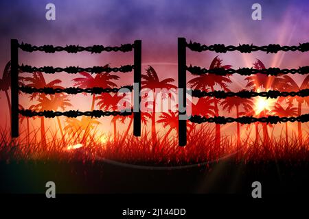 Barbed wire over silhouette of palm trees against sunset sky Stock Photo