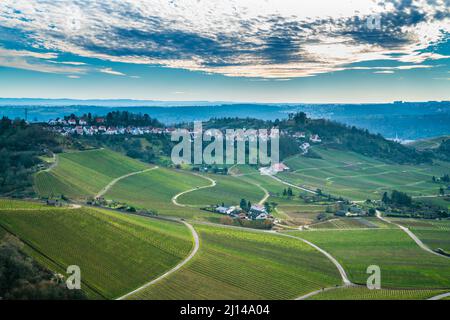 Germany, Stuttgart rotenberg houses on a hill with many ways leading through the vineyards, aerial panorama view Stock Photo