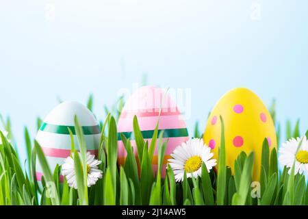 Multi coloured easter eggs in a grass. Happy Easter greeting card. Stock Photo