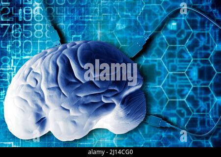 human brain connected with wires Stock Photo