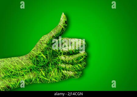 green hand with thumb up Stock Photo