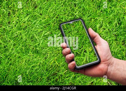 hand holding a smartphone with green grass on screen and green background Stock Photo
