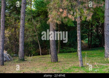 pics from botanic garden Iasi Romania Stock Photo