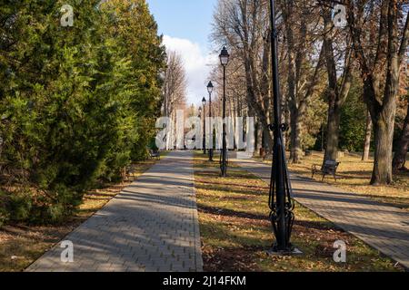 pics from botanic garden Iasi Romania Stock Photo